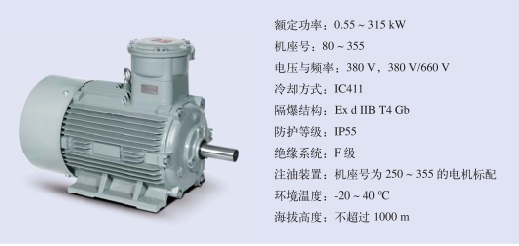 防爆電機(jī)銘牌各個(gè)參數(shù)的含義是什么